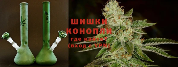 индика Нефтекумск