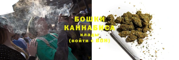 индика Нефтекумск