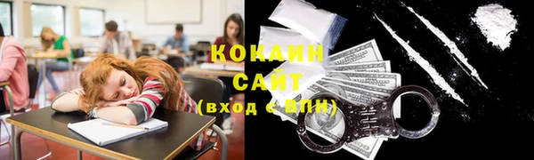индика Нефтекумск