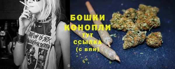 индика Нефтекумск