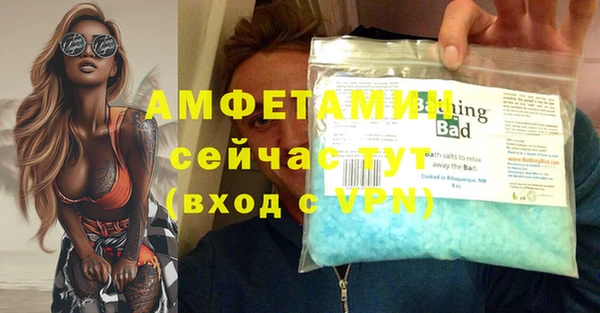 индика Нефтекумск