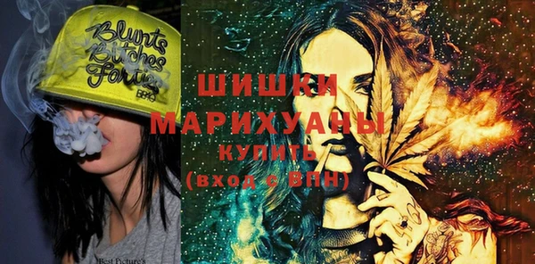 индика Нефтекумск