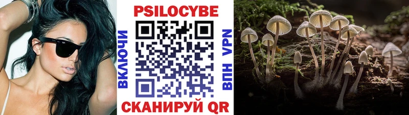 Псилоцибиновые грибы Psilocybe Усть-Катав